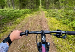 Cykelstyre och en skogsväg